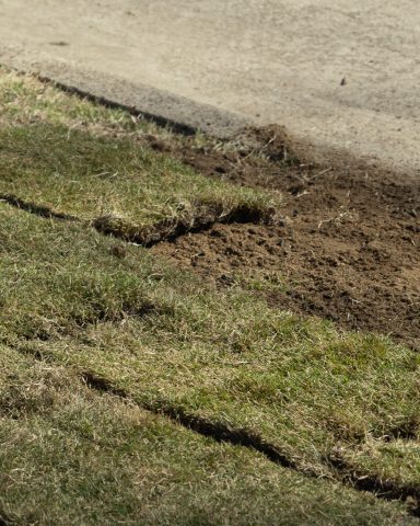 Brown soil and patches of grass along a pathway.